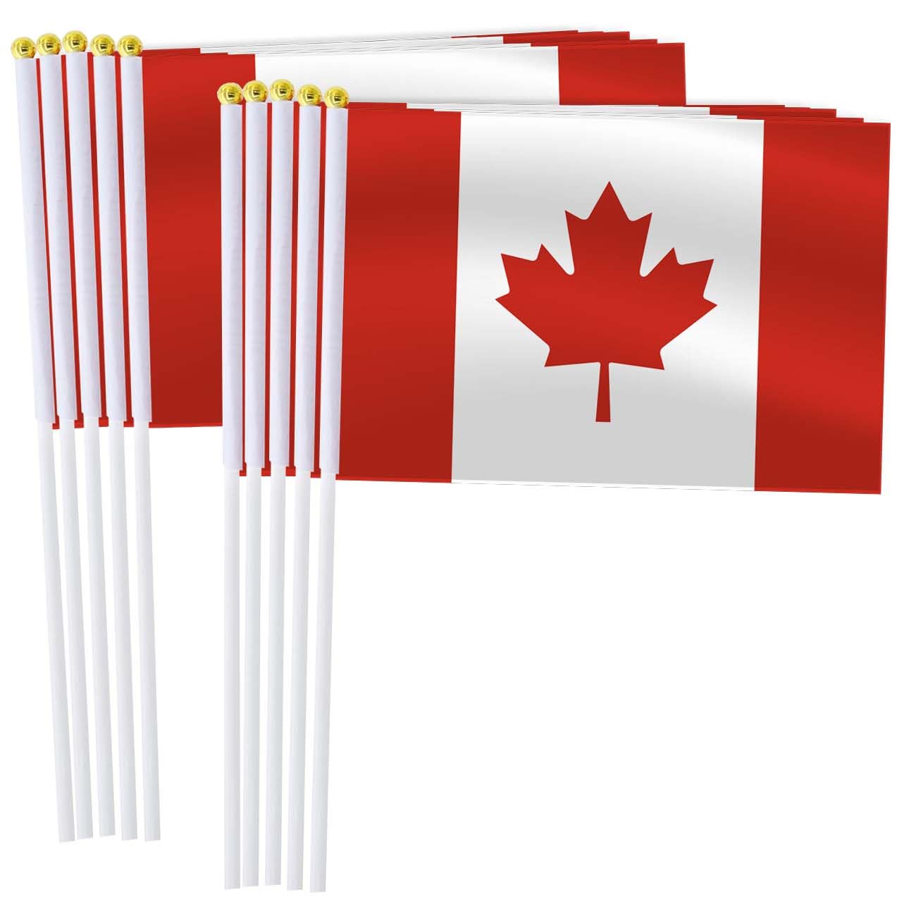 Custom Handheld Flags